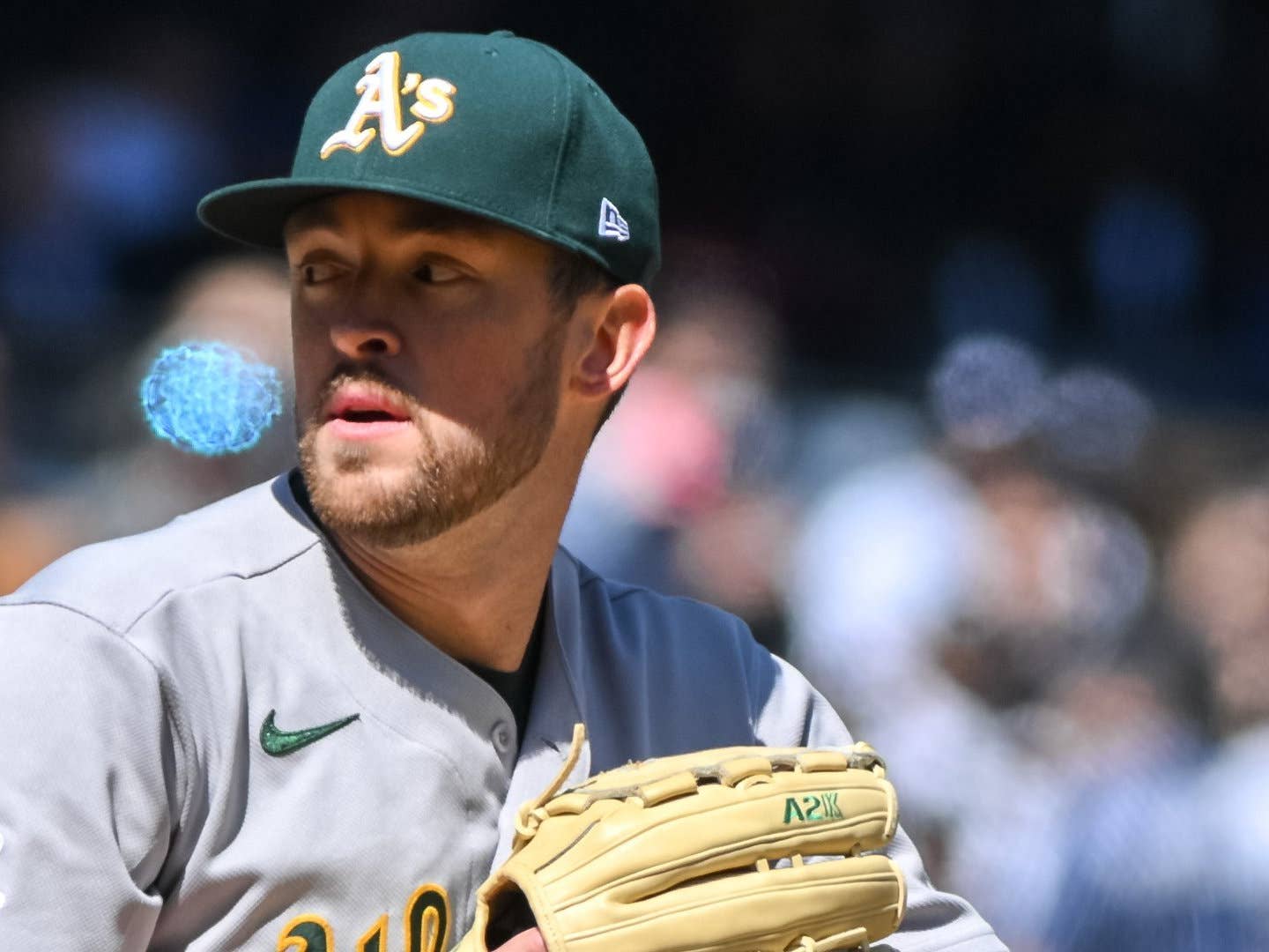 Springs Shares Surprising Words on No-Hit Bid Against Yankees - Lindys ...