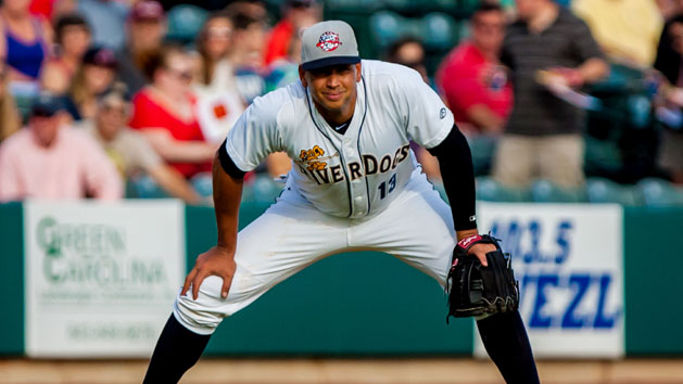 Minor League Baseball: Rome Braves at Charleston RiverDogs