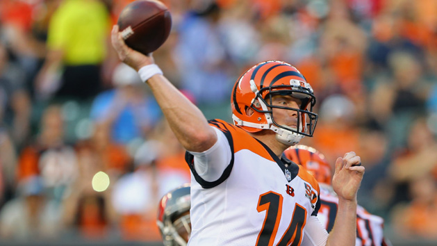 Dec 13, 2015; Cincinnati, OH, USA; Cincinnati Bengals quarterback Andy Dalton (14) passes the ball against the Pittsburgh Steelers in the first quarter at Paul Brown Stadium. Mandatory Credit: Mark Zerof-USA TODAY Sports