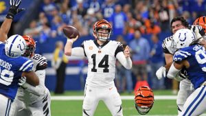 Bengals searching for big bodies