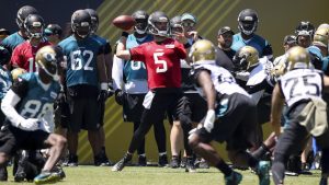 AFC Stars of the Week: Quarterbacks opening eyes