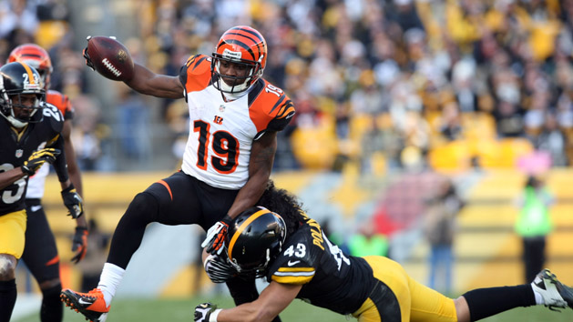 NFL: Cincinnati Bengals at Pittsburgh Steelers