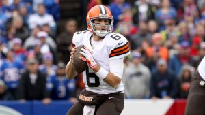 Texans sign QBs Hoyer, Mallett