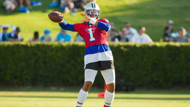 Cam Newton is a kid a heart, but he's also a great player -- and leader. Photo Credit: Jeremy Brevard-USA TODAY Sports