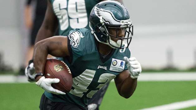 Jul 28, 2016; Philadelphia, PA, USA; Philadelphia Eagles running back Darren Sproles (43) runs with the ball during training camp at NovaCare Complex. Photo Credit: Bill Streicher-USA TODAY Sports