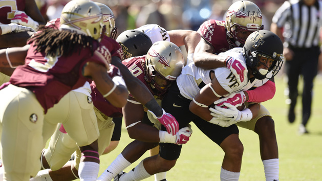 NCAA Football: Wake Forest at Florida State