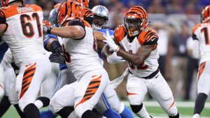 Bengals roll over Lions