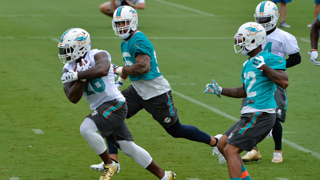 NFL: Miami Dolphins-OTA