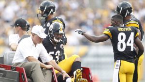 NFL Roundup: Injuries KO two Steelers for season