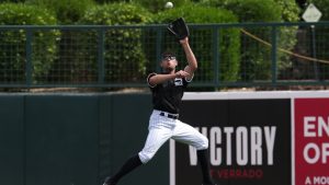 Rays acquire OF Bourjos from White Sox