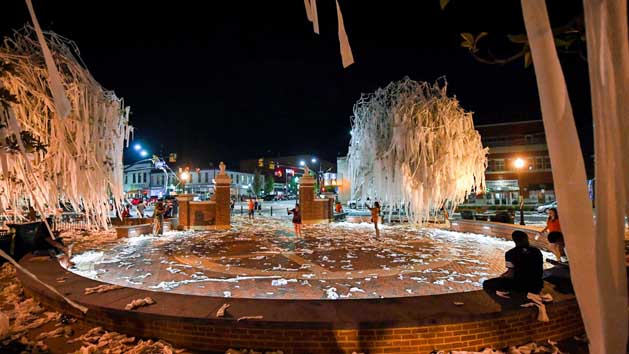 Sep 10, 2016; Auburn, AL, USA; View of the Toomer's Corner trees after they were rolled following the game between the Auburn Tigers and the Arkansas State Red Wolves at Jordan Hare Stadium. The Tigers beat the Red Wolves 51-14. Photo Credit: Shanna Lockwood-USA TODAY Sports