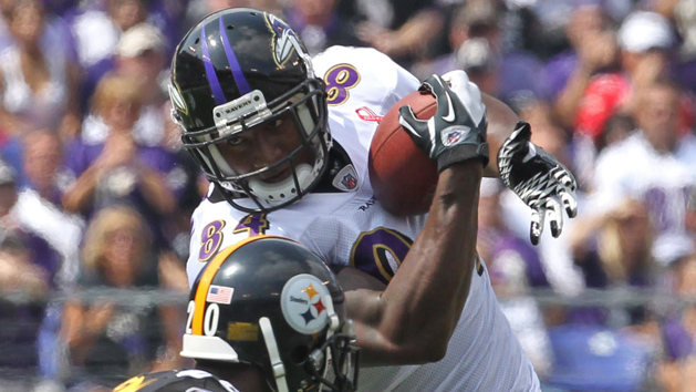 NFL: Pittsburgh Steelers at Baltimore Ravens